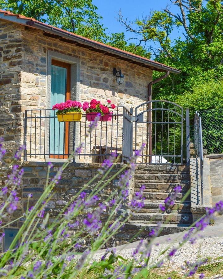 Agriturismo Vezzano Chiusi della Verna Zewnętrze zdjęcie