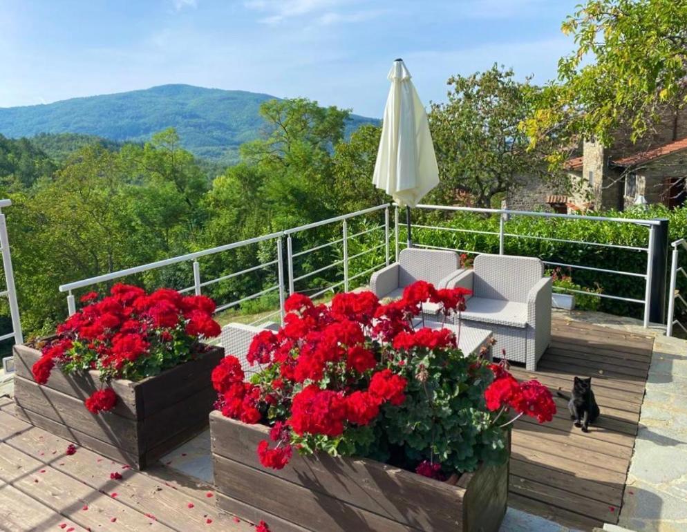 Agriturismo Vezzano Chiusi della Verna Zewnętrze zdjęcie